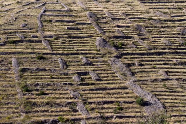 Photos for house 641717