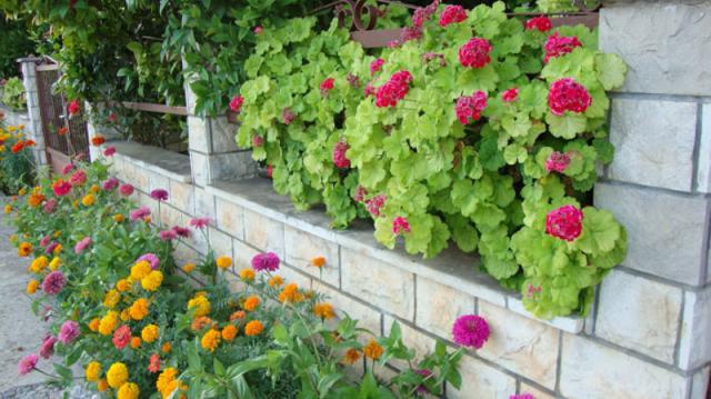 Photos for house 641717