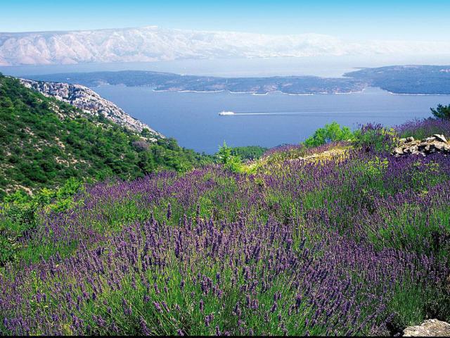 Photos for house 641717