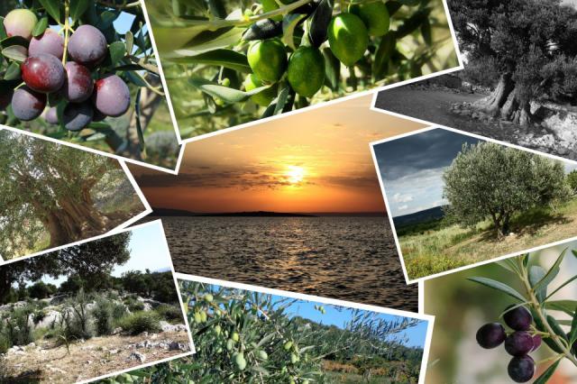 Photos for house 641717