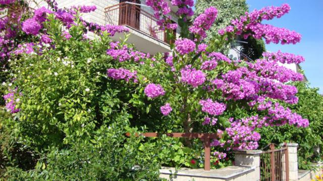 Photos for house 641717