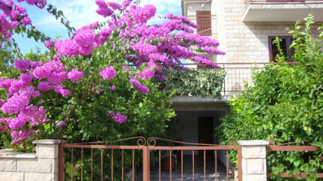 Photos for house 641717