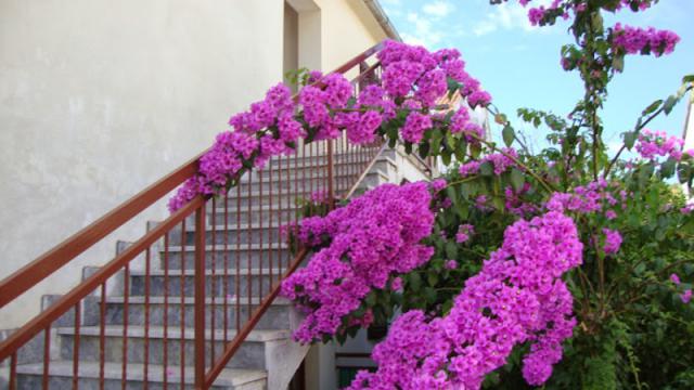 Photos for house 641717