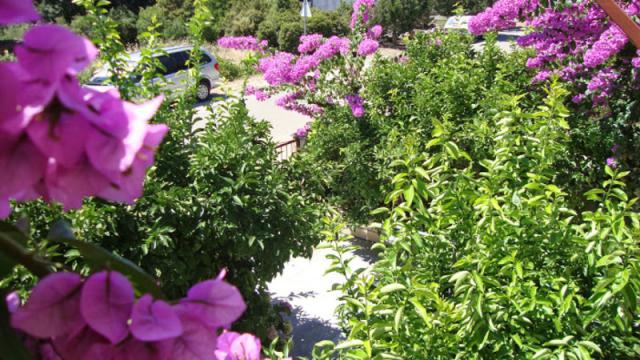 Photos for house 641717