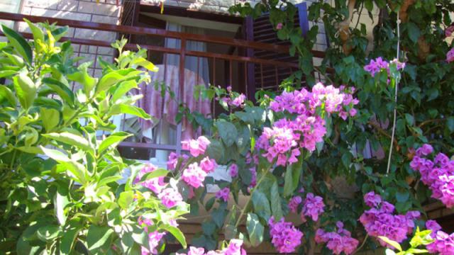 Photos for house 641717