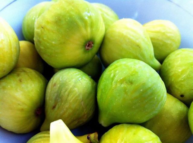 Photos for house 641717