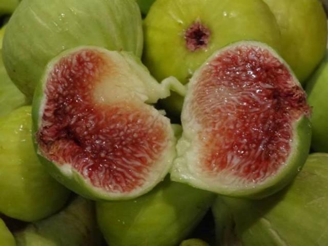 Photos for house 641717