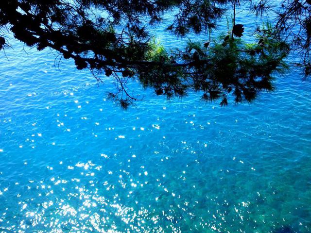 Photos for house 641717