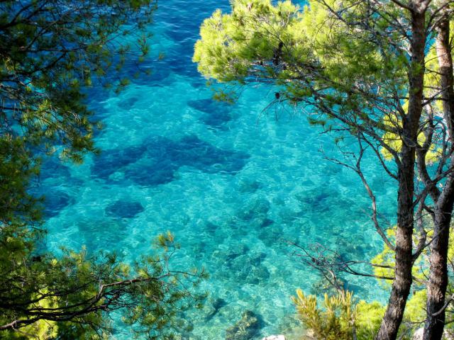 Photos for house 641717