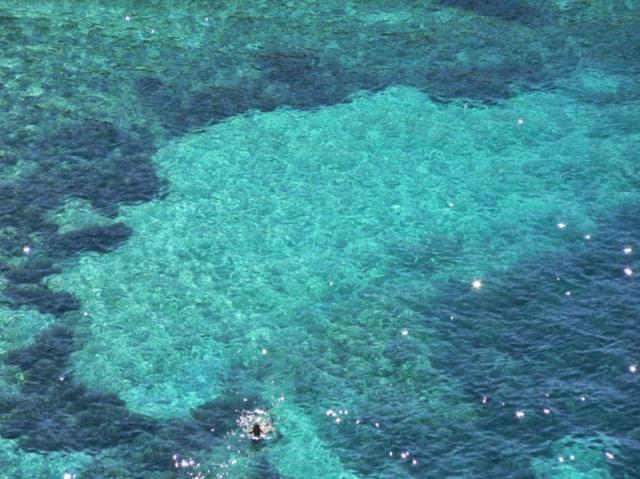 Photos for house 641717