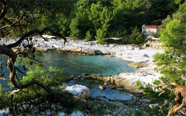 Photos for house 641717