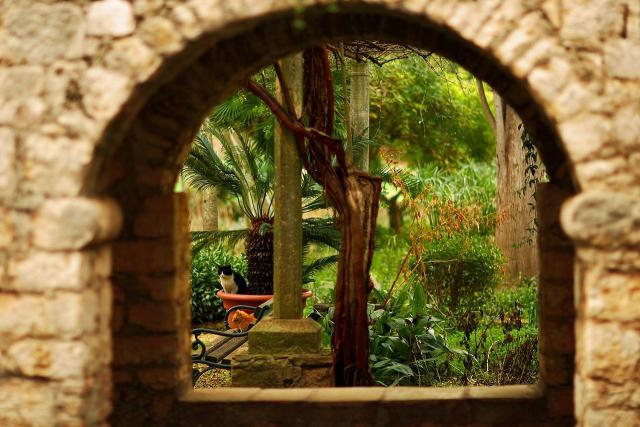 Photos for house 641717