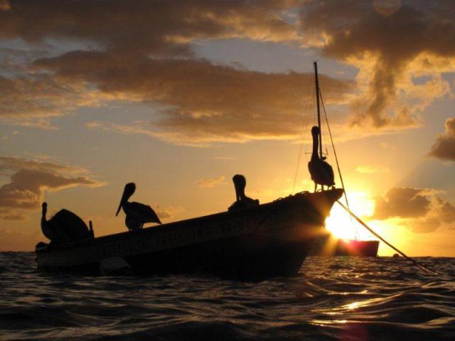 Photos for house 641721