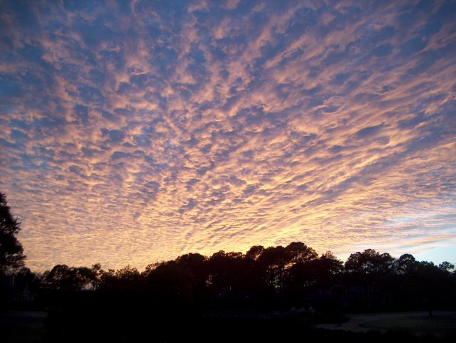 Photos for house 641727