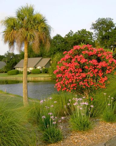 Photos for house 641727