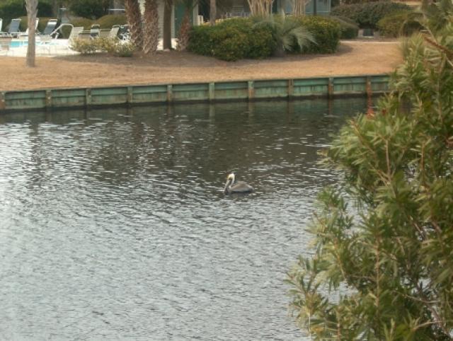 Photos for house 641727