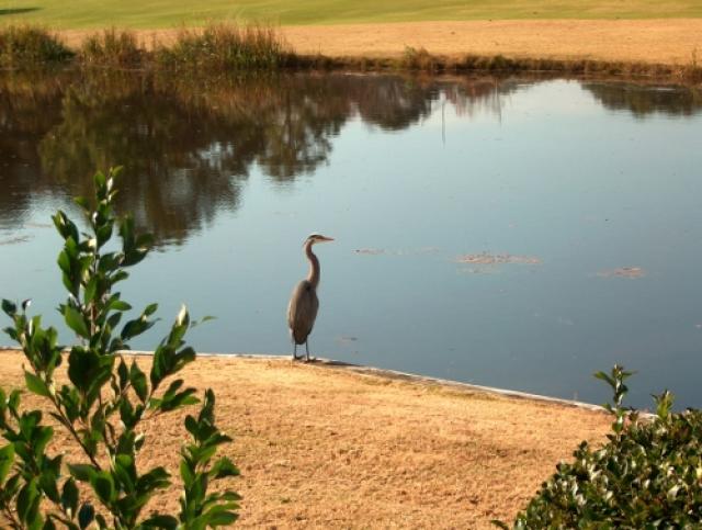 Photos for house 641727