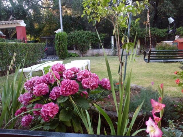 Photos for house 641732