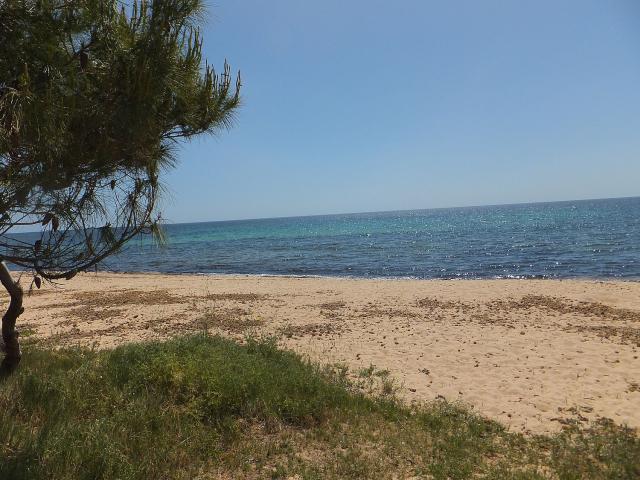 Photos for house 641735