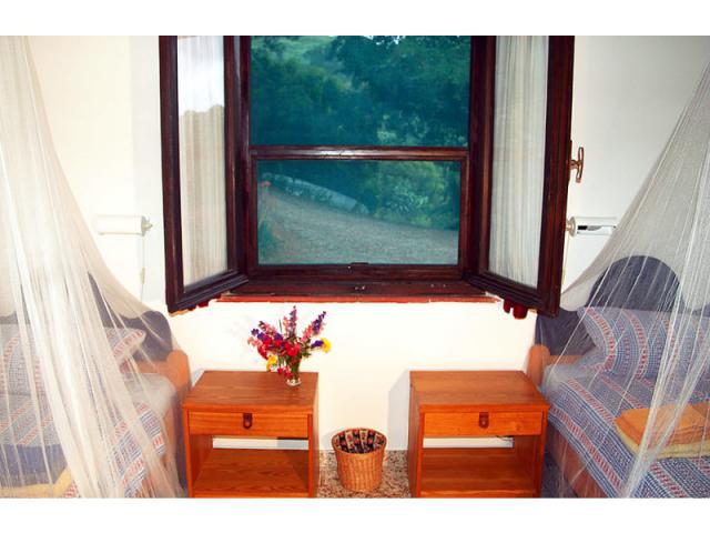 Photos for house 641745