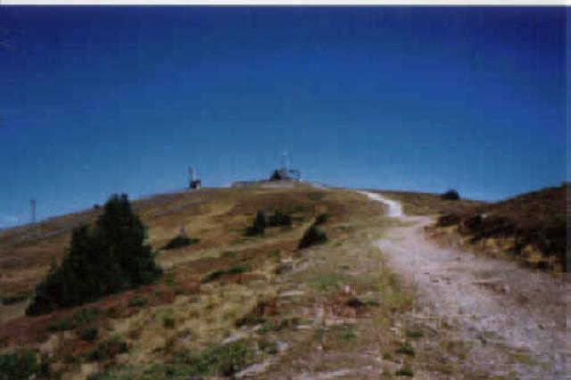 Photos for house 641747