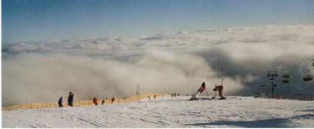 Photos for house 641747