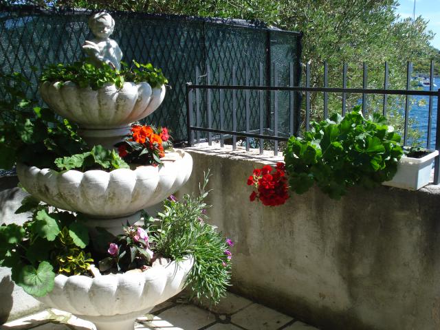 Photos for house 641751