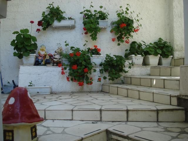 Photos for house 641751