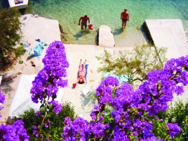 Photos for house 641751