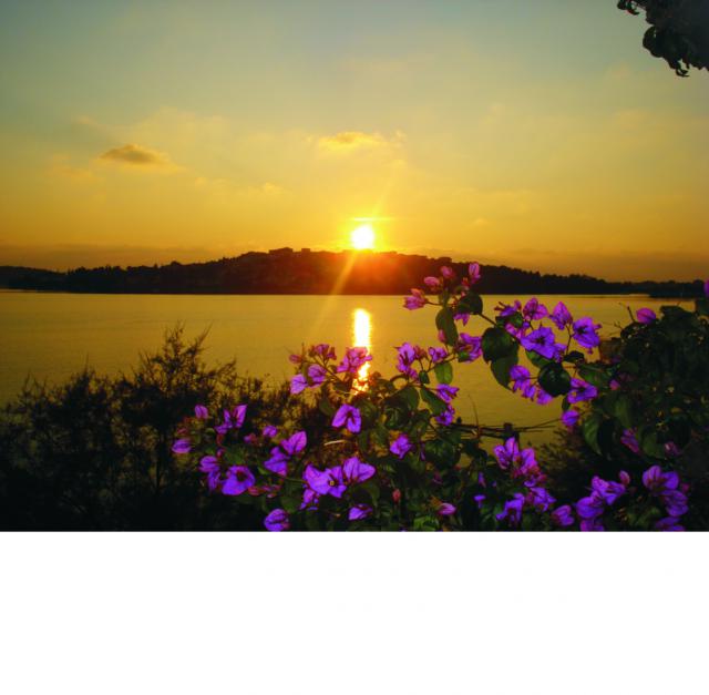 Photos for house 641751