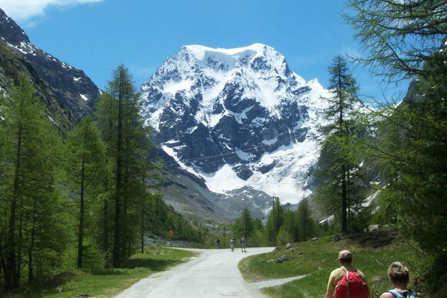 Photos for house 641753