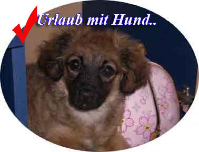 Photos for house 641757