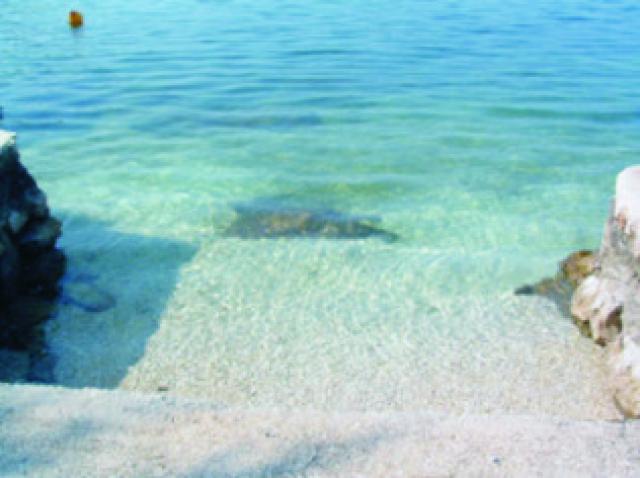 Photos for house 641768