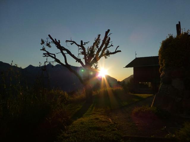 Photos for house 641773