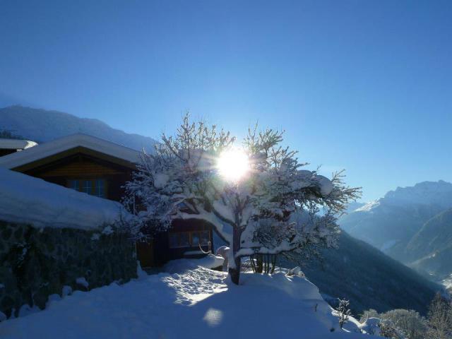 Photos for house 641773