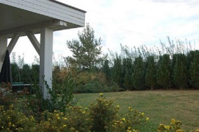 Photos for house 641777