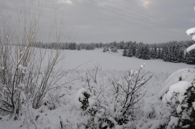 Photos for house 641777