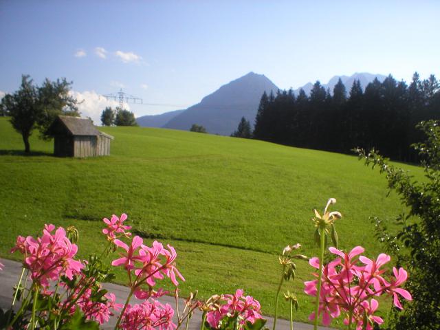 Photos for house 641789