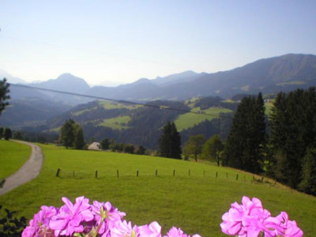 Photos for house 641789