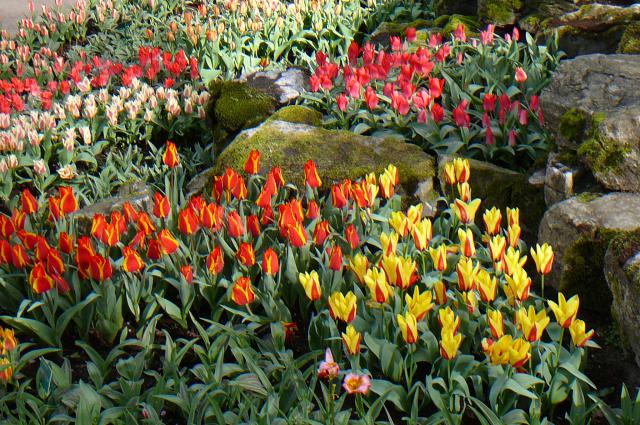 Photos for house 641792