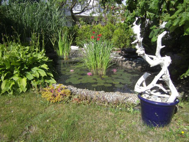 Photos for house 641797