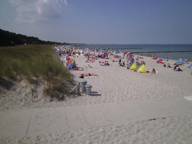 Photos for house 641815