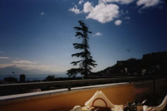 Photos for house 641824