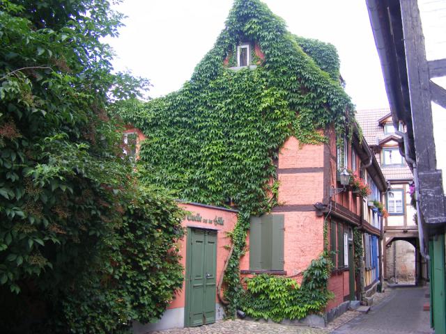 Photos for house 641825