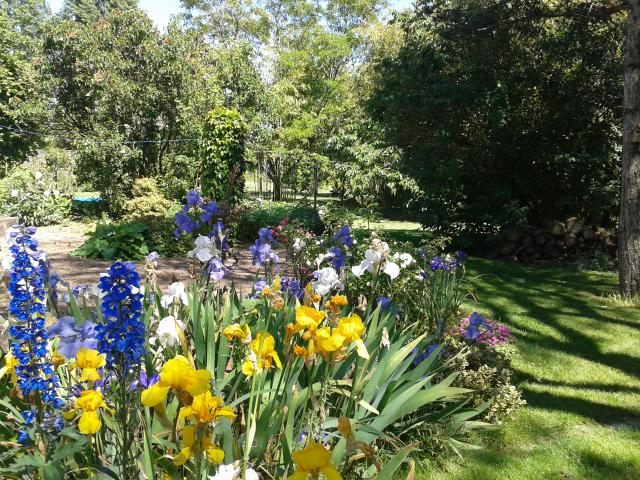 Photos for house 641826