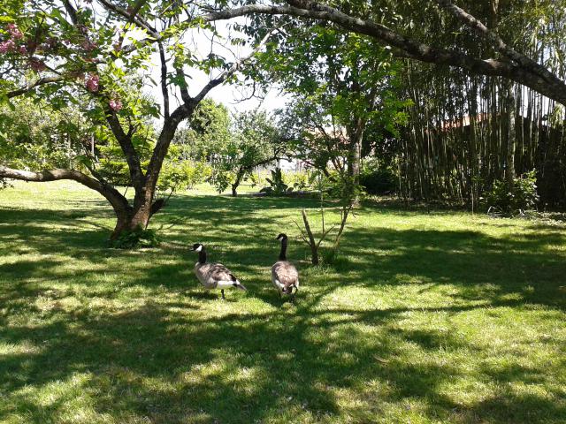 Photos for house 641826