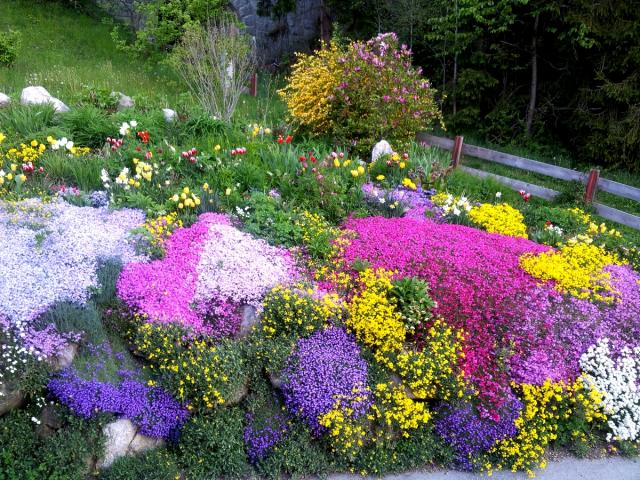 Photos for house 641834