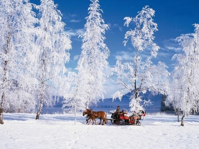 Photos for house 641834