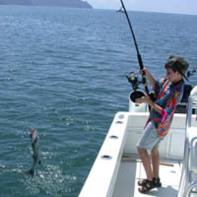 Photos for house 641853