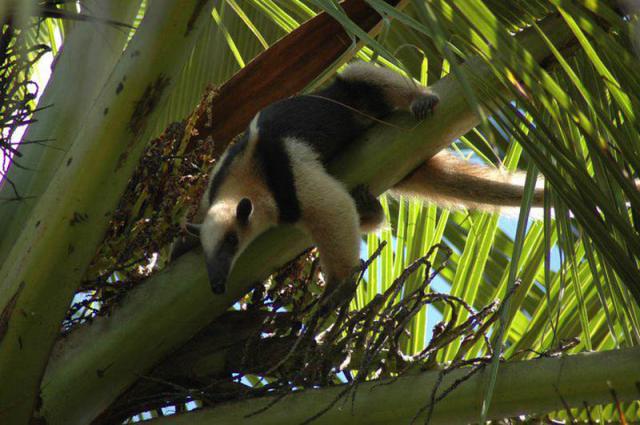 Photos for house 641853